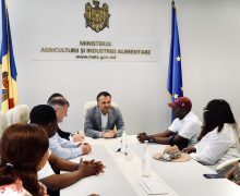 Nigeria devine principala piață africană pentru vinurile Moldovei