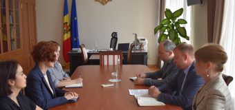 Roman Roșca a avut o întrevedere cu reprezentanta rezidentă a PNUD Moldova