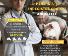 ANSA va oferi GRATUIT certificatul veterinar pentru mișcarea animalelor din gospodăriile casnice