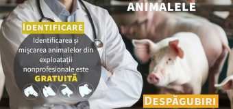 ANSA va oferi GRATUIT certificatul veterinar pentru mișcarea animalelor din gospodăriile casnice