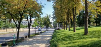 Integrarea graduală a cetățenilor din regiunea transnistreană pe piața muncii din Republica Moldova