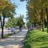 Integrarea graduală a cetățenilor din regiunea transnistreană pe piața muncii din Republica Moldova