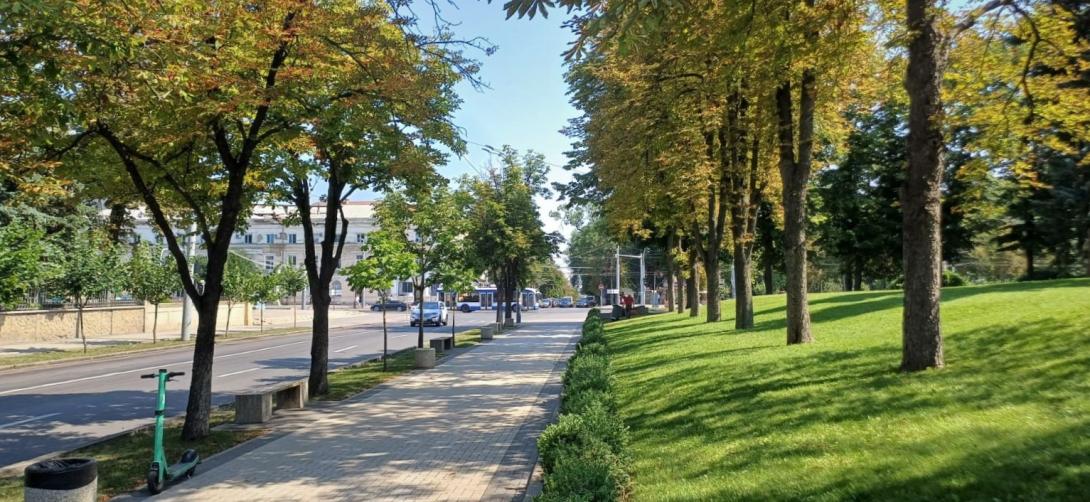 Integrarea graduală a cetățenilor din regiunea transnistreană pe piața muncii din Republica Moldova