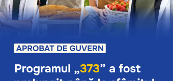 Guvernul prelungește Programul de stimulare a investițiilor „373” până în 2028