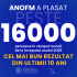 ANOFM a ajutat peste 16 000 de persoane să-și găsească un loc de muncă de la începutul anului