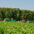 Compania AGOS Green SRL – la a 26-a aniversare