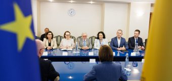 Maia Sandu, către europarlamentarii veniți să observe alegerile: „Ne confruntăm cu ingerințe externe în scrutinul parlamentar”