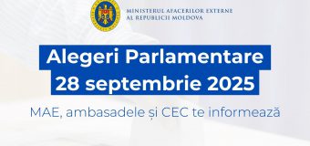 Iată cumn decurge procesul de vot în străinătate!