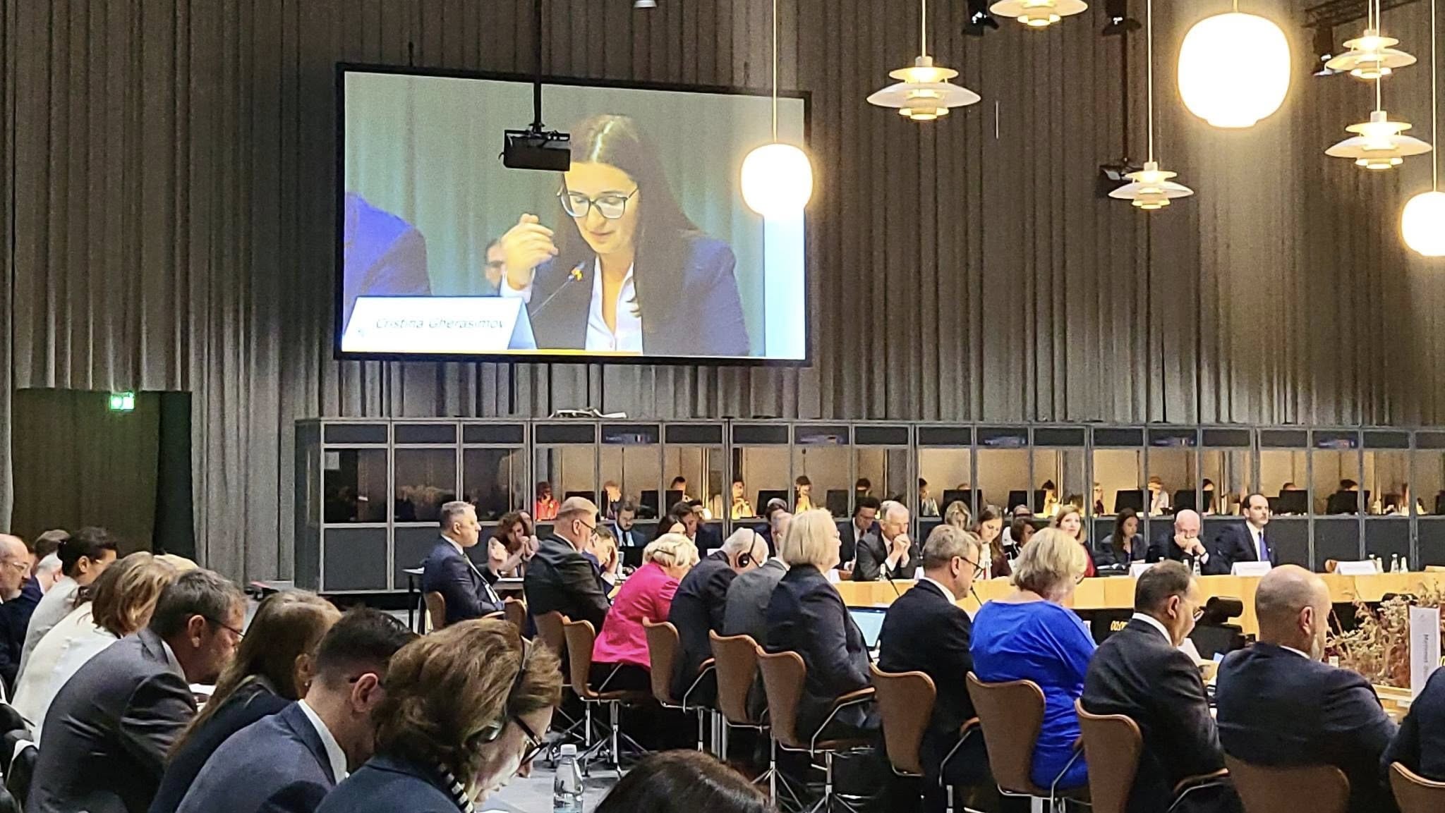 Cristina Gherasimov, la reuniunea informală a CAG: „Republica Moldova continuă să meargă cu determinare pe drumul său european”