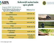 AIPA: Cereri de 51,34 mln. lei autorizate spre plată în luna august