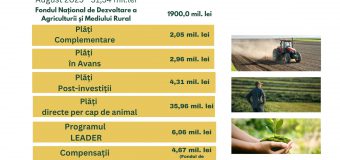AIPA: Cereri de 51,34 mln. lei autorizate spre plată în luna august