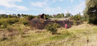 Pompierii au lichidat un incendiu de vegetație la Ialoveni care a luat viața unei femei