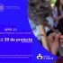 Programul Acces la Cultură: Alte 39 de proiecte culturale preselectate în Apelul II