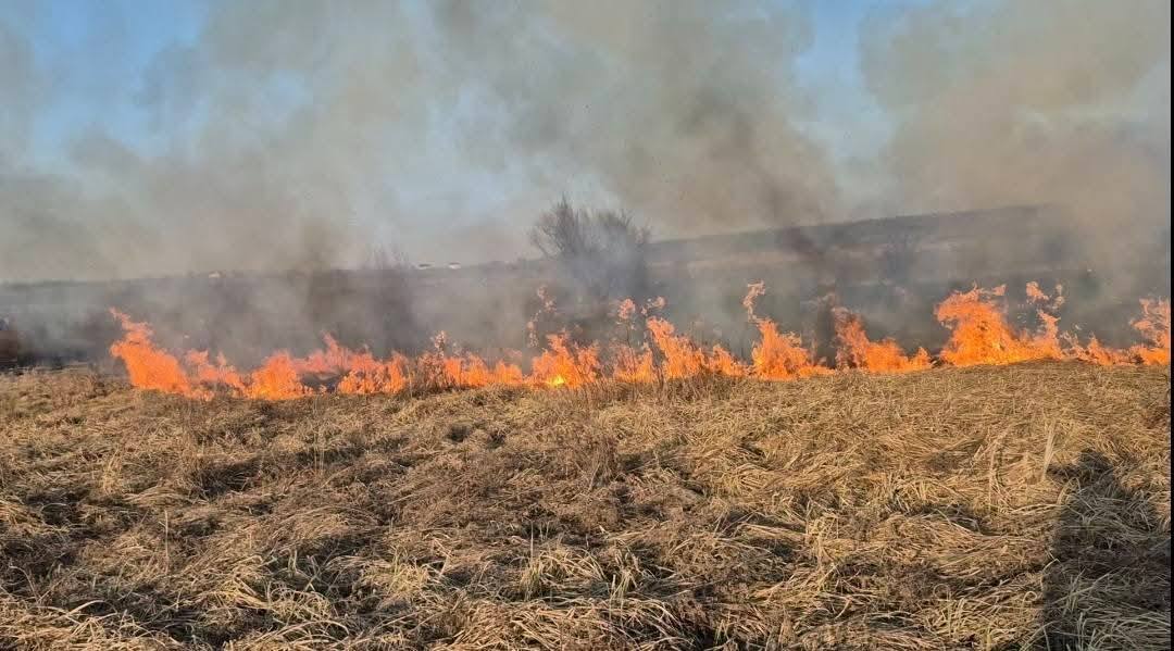 Amenzi de peste 1 milion 250 de mii de lei au fost aplicate oamenilor după ce au fost sancționați în urma arderii vegetației uscate