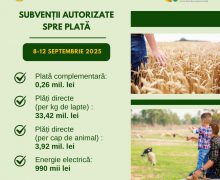 AIPA a autorizat spre plată 37,6 mln. lei subvenții pentru agricultură