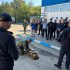 Exerciții comune de intervenție la frontieră, cu participarea Serviciului Vamal al Republicii Moldova și a autorităților din Ucraina