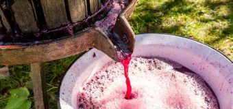 IGSU reamintește cetățenilor regulile de siguranță în sezonul preparării vinului de casă