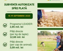 Au fost autorizate spre plată cereri în sumă de 18,62 mln. lei pentru producători agricoli