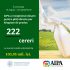 AIPA a autorizat spre plată 73,59 mln. lei subvenții destinate fermierilor din sectorul zootehnic