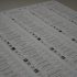 CEC a început tirapurl buletinelor de vot pentru Diaspora