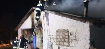 300 de animale au fost salvate de pompieri dintr-un incendiu izbucnit în raionul Rîșcani