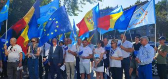 PL s-a lansat în campania electorală