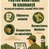 Recomandări pentru vânătoare în siguranță în zona de frontieră – sezonul 2025–2026