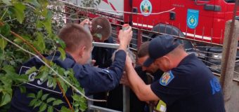 Un bărbat a fost salvat de salvatori după ce a căzut într-o fântână cu apă din raionul Hîncești