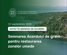 Guvernul a aprobat semnarea unui Acord de grant pentru restaurarea zonelor umede din 15 raioane ale țării