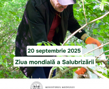 20 septembrie va fi marcată Ziua Mondială a Salubrizării
