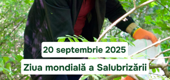 20 septembrie va fi marcată Ziua Mondială a Salubrizării