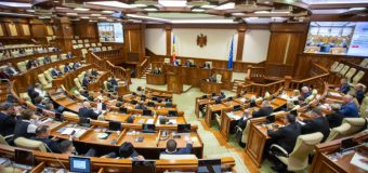 Doina Gherman și Vlad Batrîncea, realeși în funcția de vicepreședinte al Parlamentului