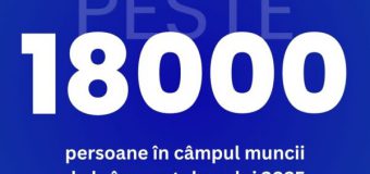 Peste 18 000 de persoane plasate în câmpul muncii de la începutul anului