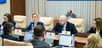 Guvernul a aprobat un nou model de contract pentru servicii moderne de transport feroviar de pasageri