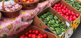 Târguri cu produse autohtone în Chișinău. Iată adresele