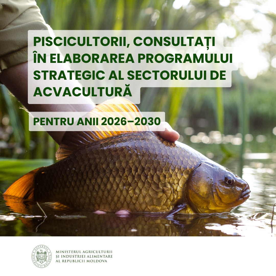 Piscicultorii, consultați în elaborarea Programului Strategic al Sectorului de Acvacultură pentru anii 2026–2030