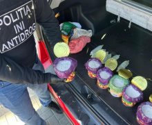 9 kg de mefedronă transportate ilegal din Europa – ridicate de ofițerii INI