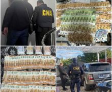 Sinteza activității CNA pentru săptămâna trecută