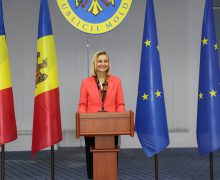 Activitatea MDED în mandatul Doinei Nistor