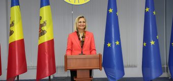 Activitatea MDED în mandatul Doinei Nistor