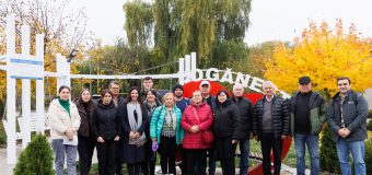 Republica Moldova lansează primele comunități de energie din surse regenerabile