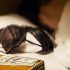 O femeie, condamnată la 6 ani de închisoare după ce a exploatat sexual o tânără orfană de ambii părinți