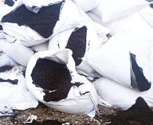 ANSA a intensificat controalele. Mai multe loturi de ceai din import au fost nimicite