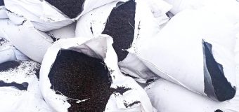 ANSA a intensificat controalele. Mai multe loturi de ceai din import au fost nimicite