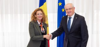 Premierul a discutat agenda europeană a țării cu Ambasadoarea Suediei