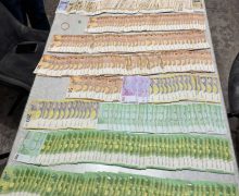 Percheziții în 3 cauze penale privind activitatea ilicită de întreprinzător