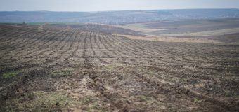 (VIDEO) Terenurile destinate acțiunilor de plantare sunt pregătite de împădurire