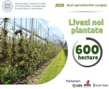 Peste 600 hectare de livezi au fost înființate în acest an