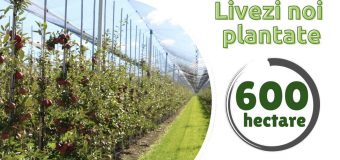 Peste 600 hectare de livezi au fost înființate în acest an