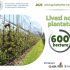 Peste 600 hectare de livezi au fost înființate în acest an
